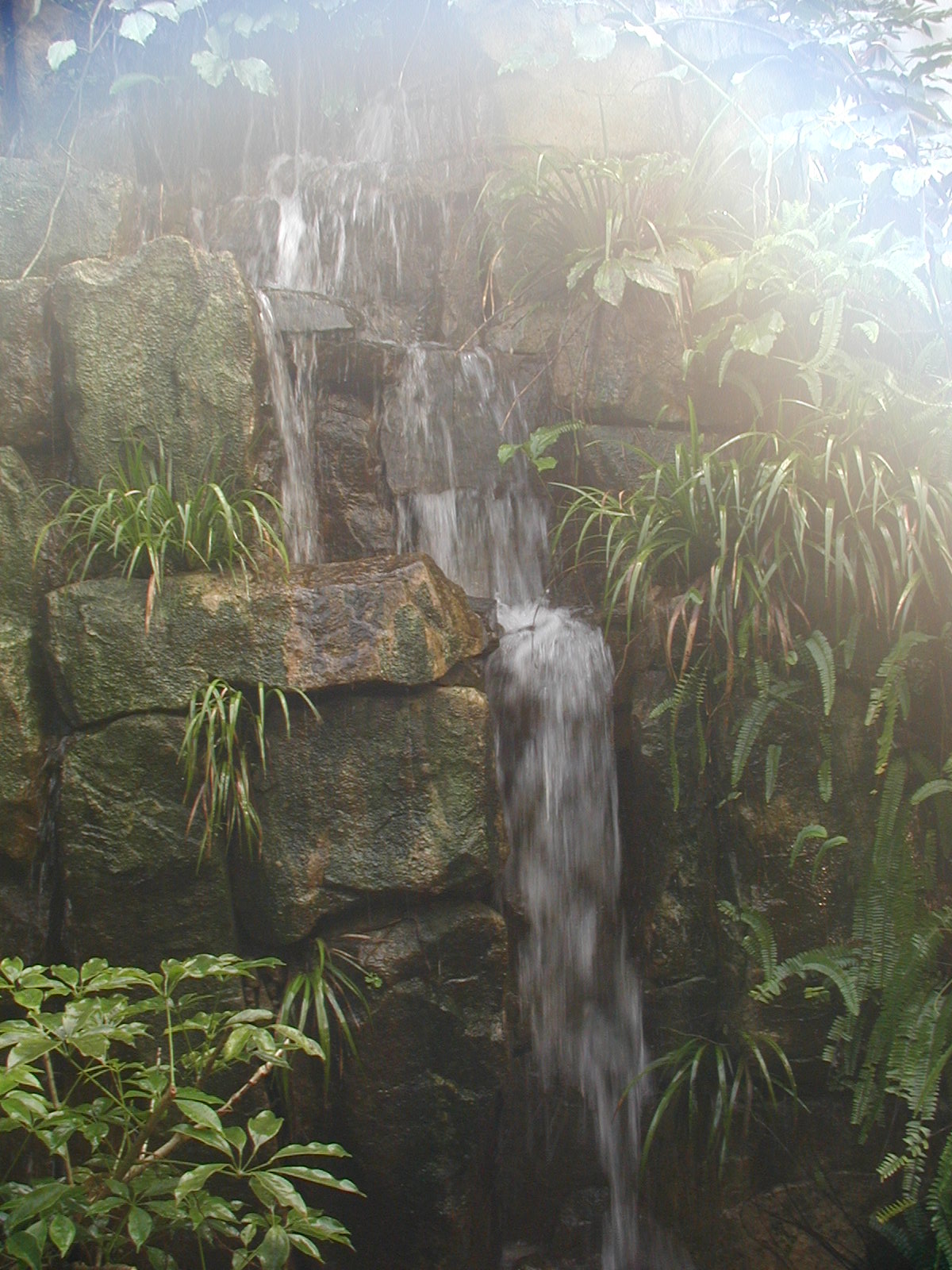 P1010002.JPG