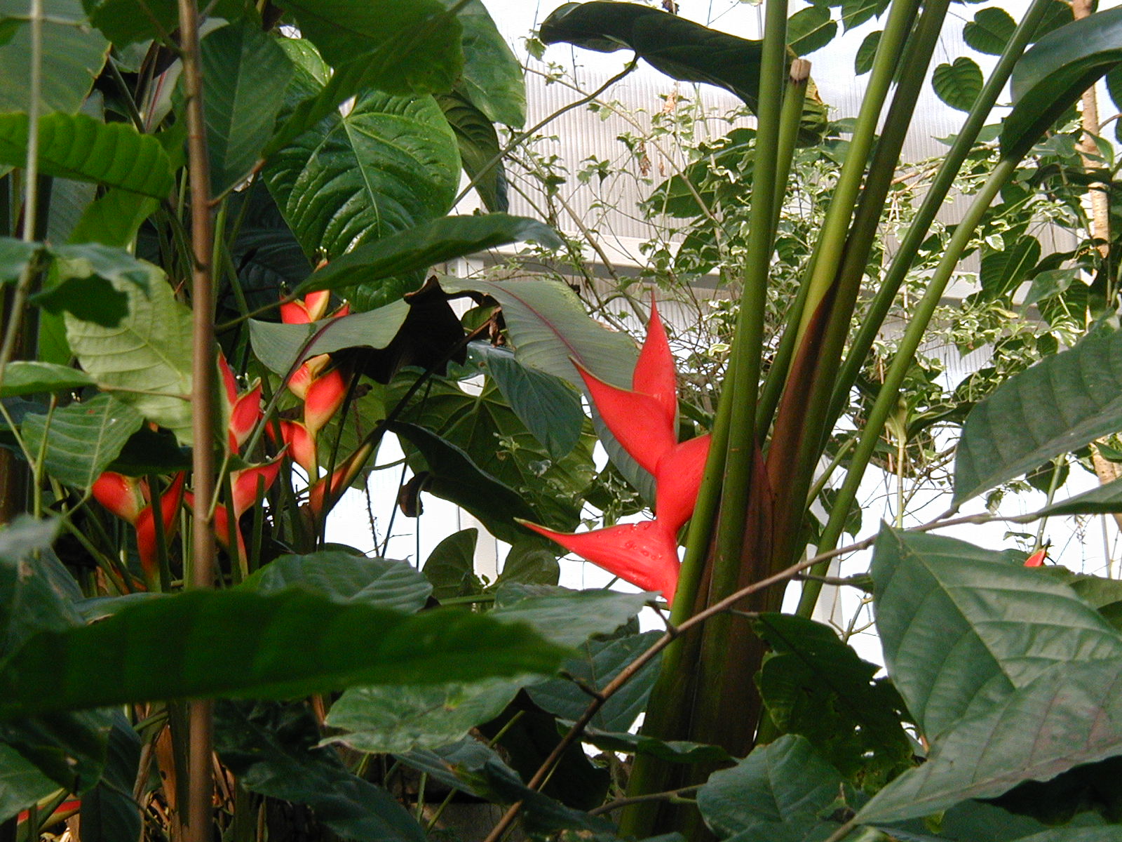 P1010008.JPG