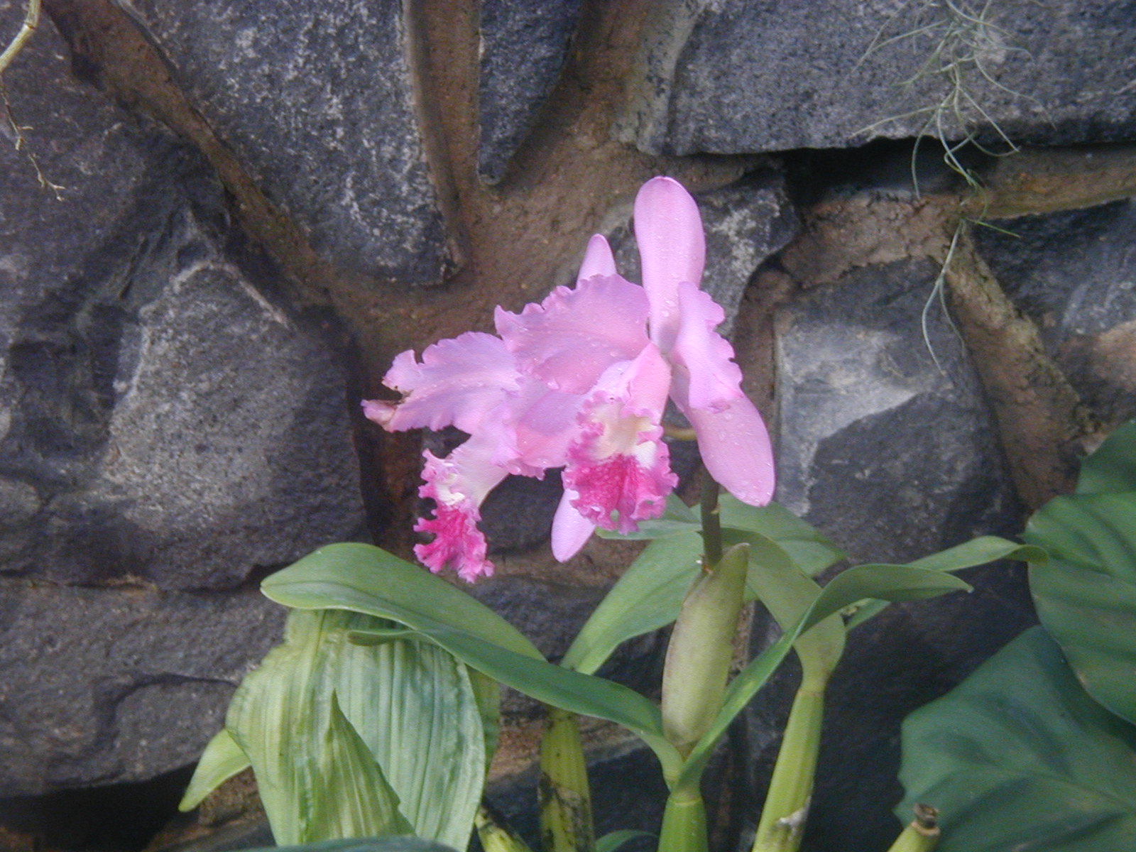 P1010010.JPG
