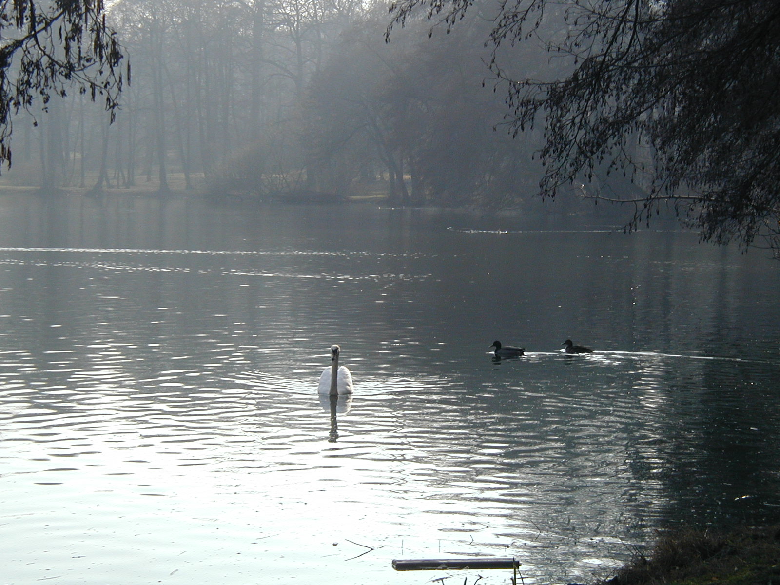 P1010034.JPG